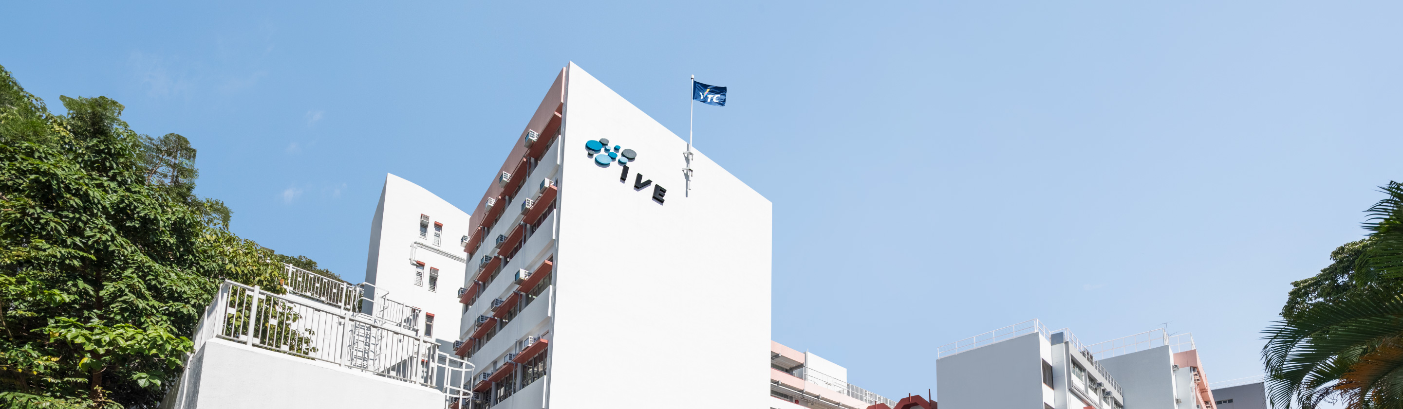 IVE葵涌