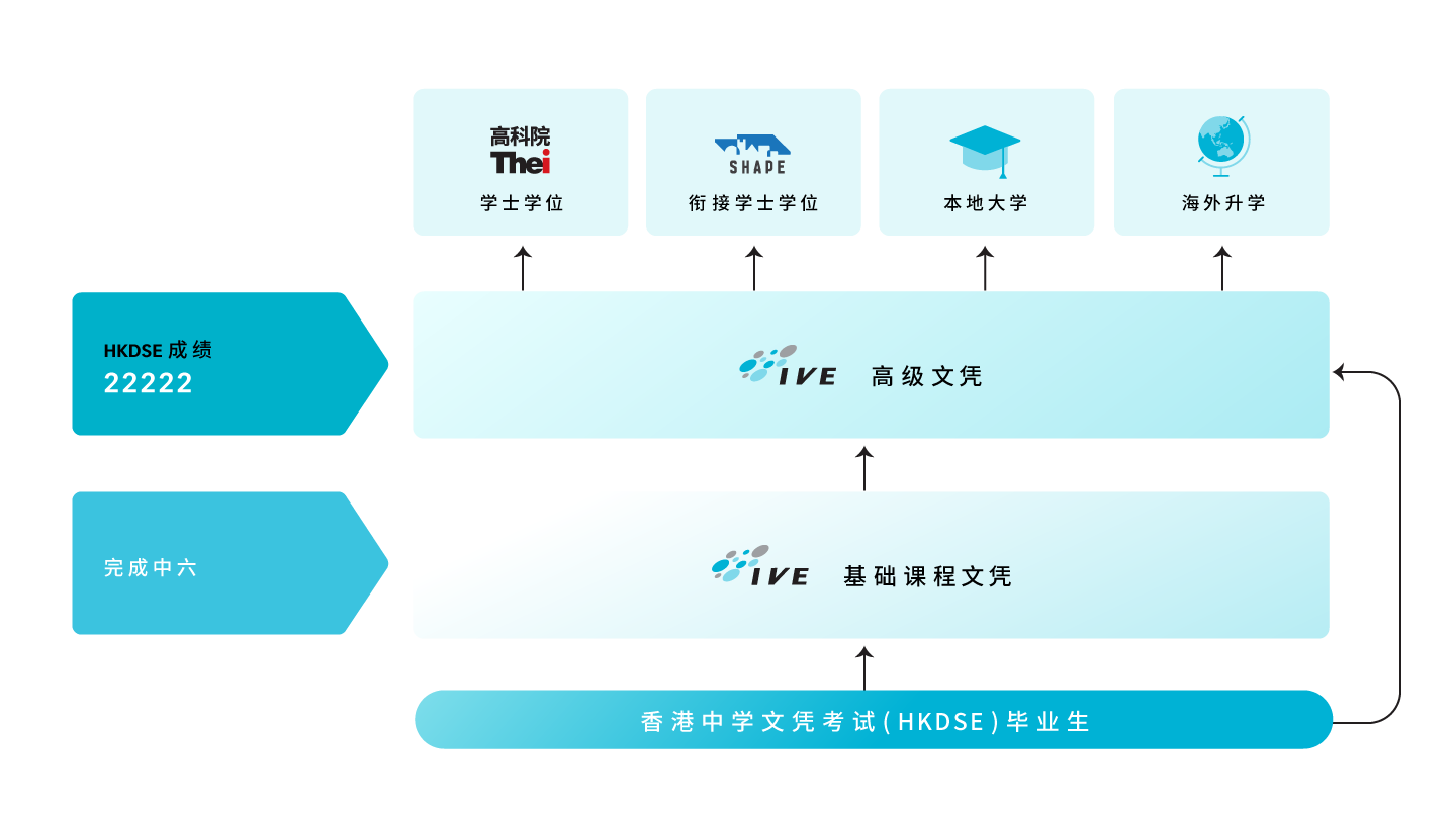 升学阶梯